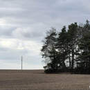 Брестская область оцифрует все сельхозугодья к 2028 году