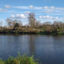 В зоне радиационного контроля остаются 6 населенных пунктов Пинского района