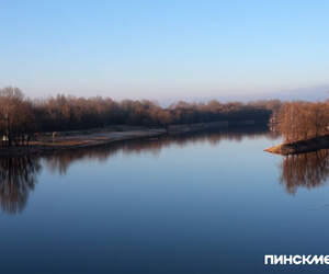 В Пинском районе ограничено посещение лесов с 22 марта