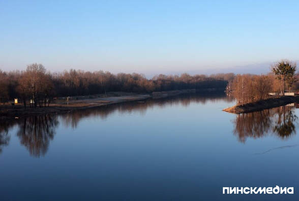 В Пинском районе ограничено посещение лесов с 22 марта