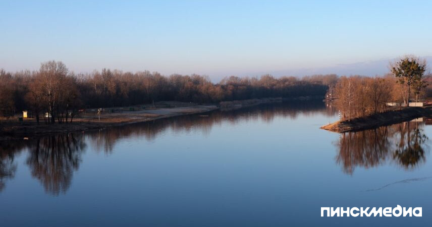 В Пинском районе ограничено посещение лесов с 22 марта