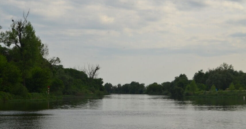 Штормовое предупреждение объявлено на 6 мая из-за заморозков в Беларуси