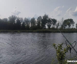 В водохранилища Беларуси выпустили более 34 тонн рыбы: БООР завершило весеннее зарыбление