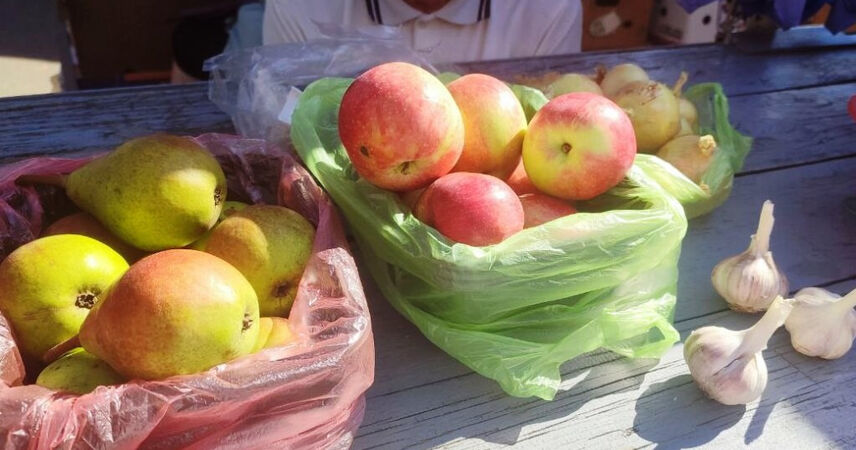 Яблоки подорожали до 7 рублей в магазинах Пинска, на рынках – дефицит