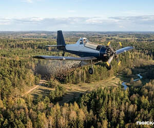 В Брестском регионе стартует масштабная кампания по иммунизации диких животных от бешенства
