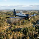 В Брестском регионе стартует масштабная кампания по иммунизации диких животных от бешенства