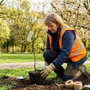 Брестчина на субботнике: где наведут порядок 350 тысяч жителей области