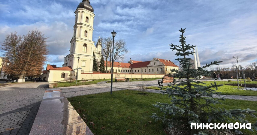 Зелёный дефицит: Пинск и более 60 городов Беларуси не обеспечены парками и скверами
