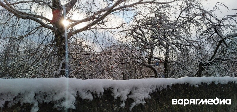 Усиление морозов, местами снег: какой будет погода 15-16 февраля в Беларуси