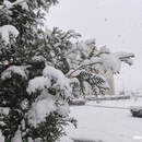 Циклон Улли идёт в Беларусь: синоптики обещают ещё больше снега и морозы до -25°C