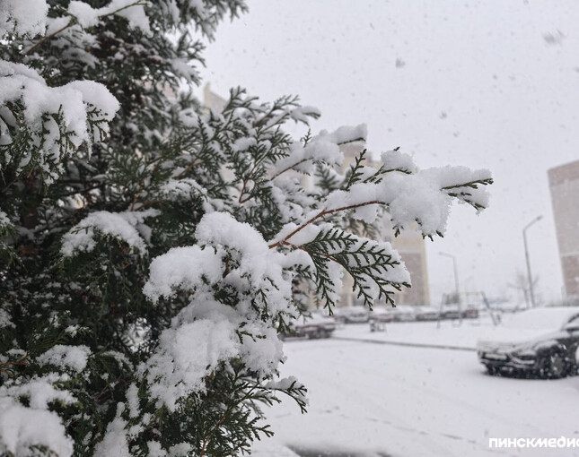 Циклон Улли идёт в Беларусь: синоптики обещают ещё больше снега и морозы до -25°C