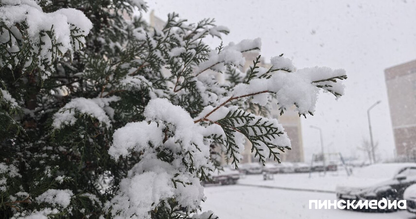 Циклон Улли идёт в Беларусь: синоптики обещают ещё больше снега и морозы до -25°C