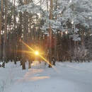 На Земле началась магнитная буря и мощные полярные сияния