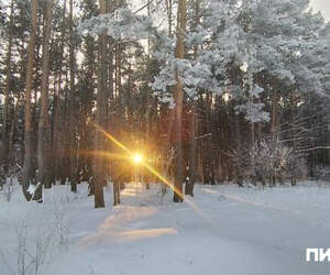 На Земле началась магнитная буря и мощные полярные сияния