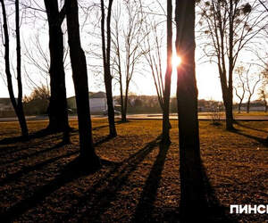 День весеннего равноденствия 20 марта 2026 года: встречаем астрономическую весну