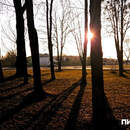 День весеннего равноденствия 20 марта 2026 года: встречаем астрономическую весну