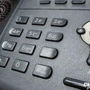 Во Всемирный день почки 12 марта в Пинске организуют горячие линии со специалистами здравоохранения