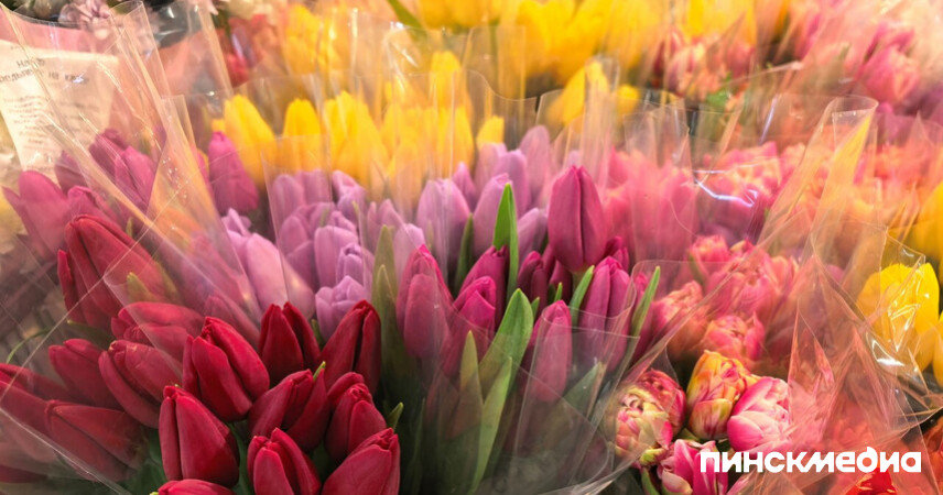 Цены на тюльпаны в Пинске в 2026 году: сколько стоят цветы к 8 Марта и как сэкономить