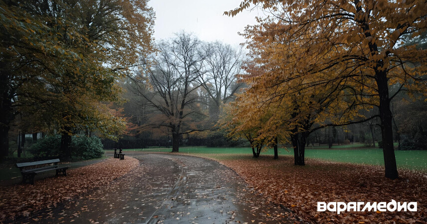 Синоптики предупредили о тумане 11 ноября: объявлен оранжевый уровень