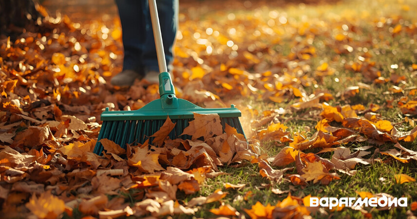 Более Br19,6 млн заработано на республиканском субботнике 25 октября