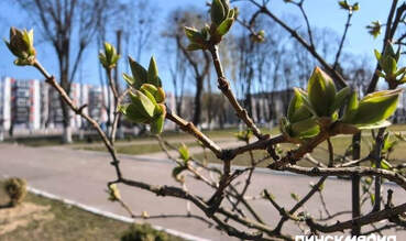 Белорусов ждут большие выходные в апреле 2026 года