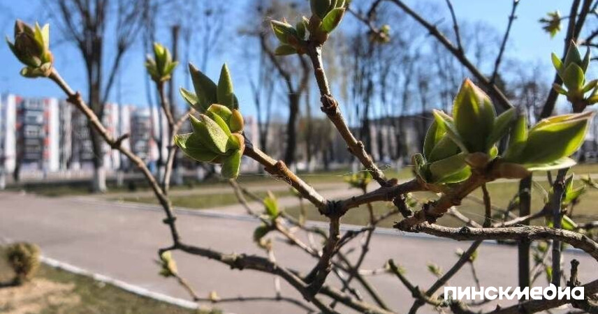 Белорусов ждут большие выходные в апреле 2026 года