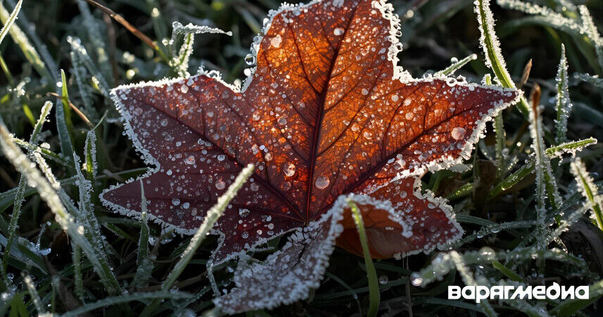 Штормовое предупреждение: синоптики сообщают о заморозках 25-26 сентября в Беларуси