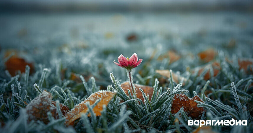 Ждать ли еще тепла? Октябрь начнется с ночных заморозков в Беларуси