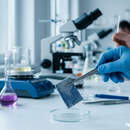 Опасно для здоровья: Госстандарт изымает из продажи популярное мыло, детскую обувь и сладости