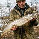 В Пинском районе с 1 марта вводится запрет на лов щуки
