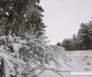 Зима-2026 в Беларуси оказалась аномально холодной: климатический обзор от Белгидромета