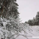 Зима-2026 в Беларуси оказалась аномально холодной: климатический обзор от Белгидромета