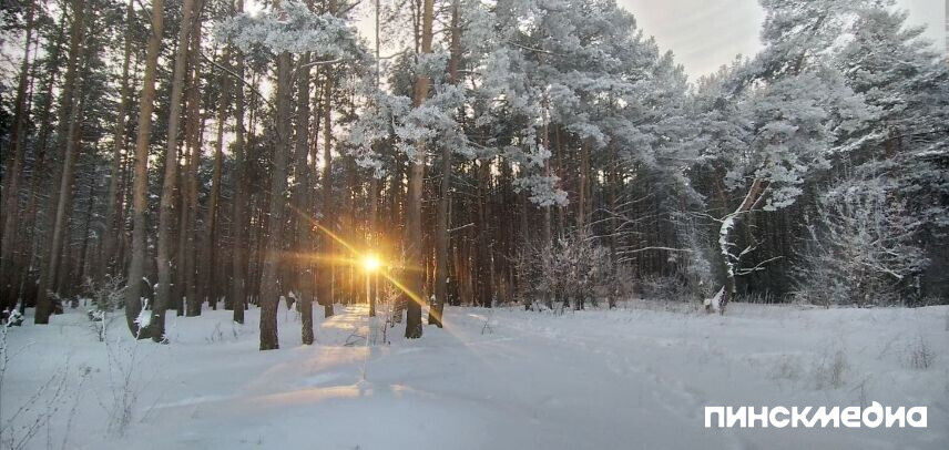 Морозы возвращаются: к выходным в Беларуси существенно похолодает