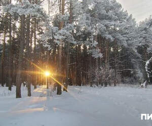 Морозы возвращаются: к выходным в Беларуси существенно похолодает