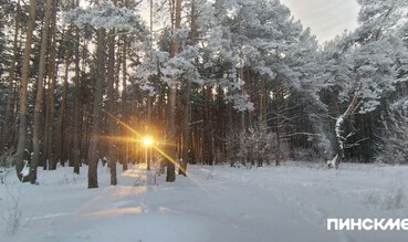 До +5: в Беларуси с 11 февраля ощутимо потеплеет - но ненадолго