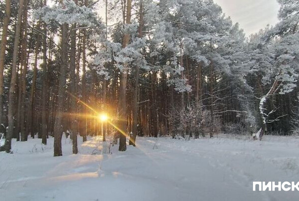 До +5: в Беларуси с 11 февраля ощутимо потеплеет - но ненадолго
