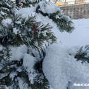 Морозы в Беларуси: при какой температуре школьные занятия могут быть приостановлены?