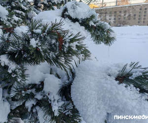 Морозы в Беларуси: при какой температуре школьные занятия могут быть приостановлены?