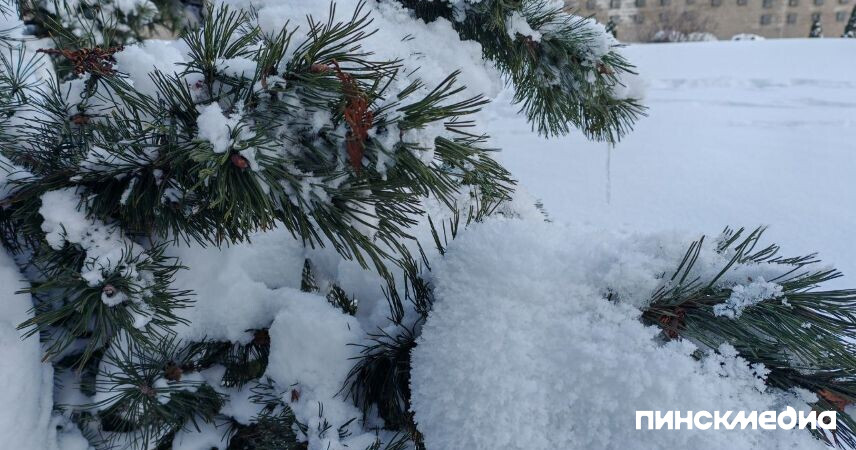 Морозы в Беларуси: при какой температуре школьные занятия могут быть приостановлены?