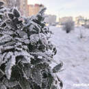 Синоптики предупреждают о гололедице 26 января в Беларуси: объявлен оранжевый уровень