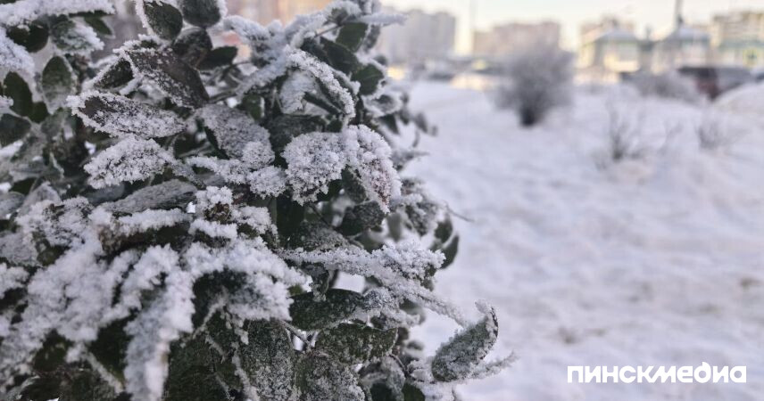 Синоптики предупреждают о гололедице 26 января в Беларуси: объявлен оранжевый уровень