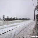 Почти 16,5 тысячи белорусов пострадали от гололеда и холода с начала зимы