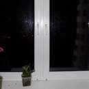 Трагедия в Кобрине: трехлетний ребенок выпал из окна пятого этажа