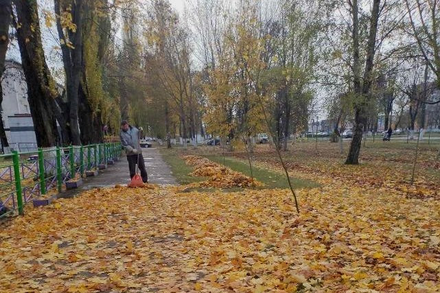 В Пинске ЖРЭУ, студенты и трудовые коллективы убирают опавшую листву