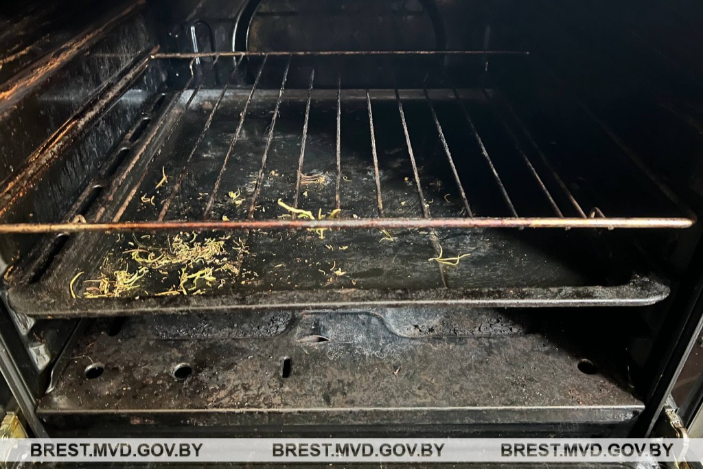 В Пинске мужчина сушил каннабис в духовке