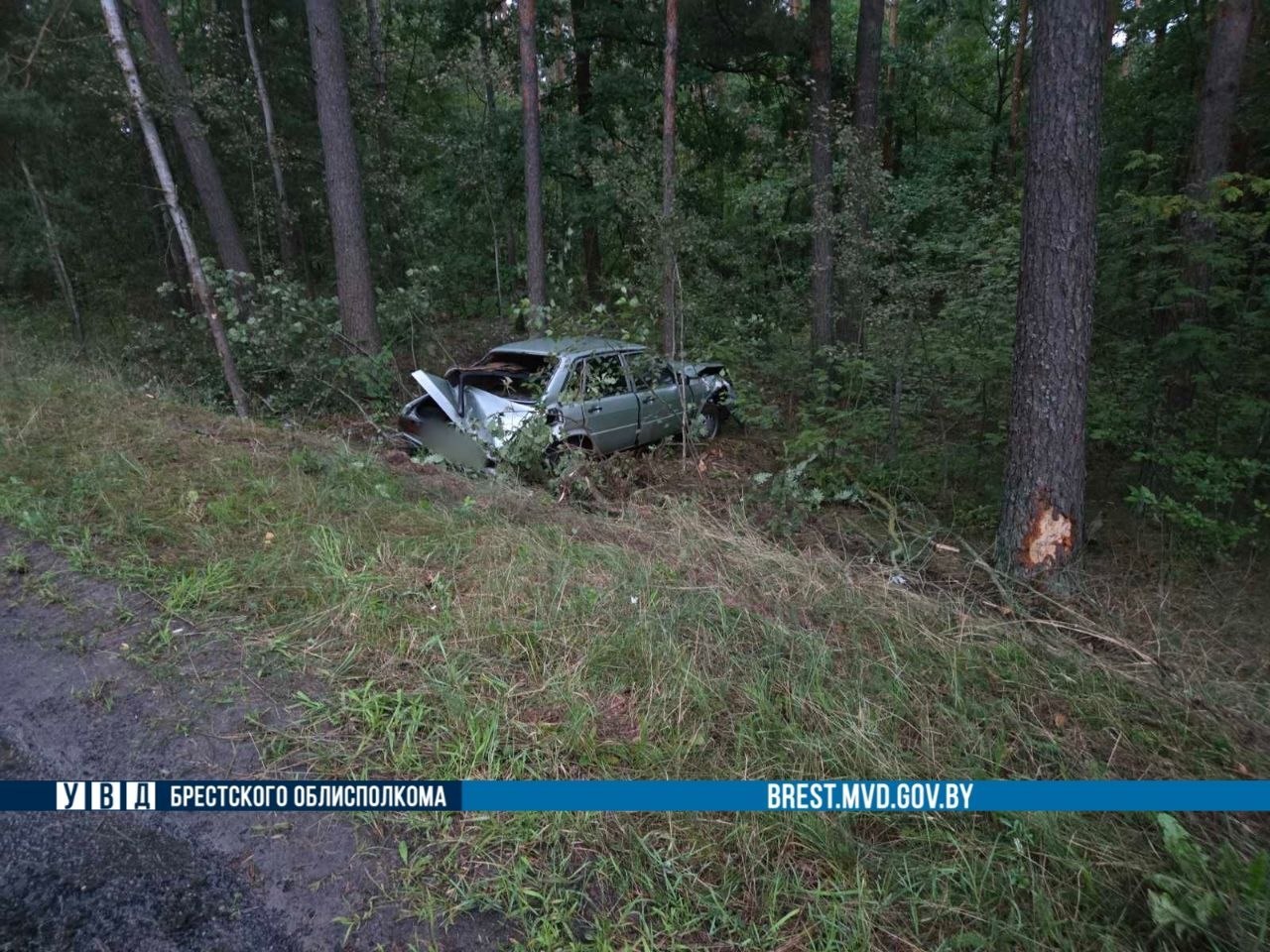 ДТП в Пинском районе возле деревни Вязь, Audi съехал в кювет