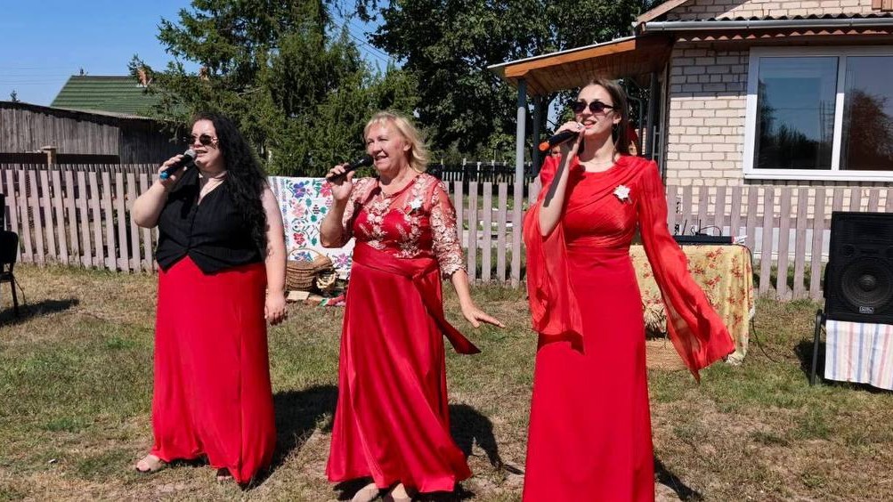 День деревни в Дубновичах