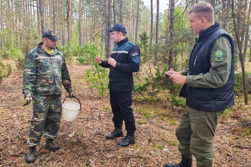 В лесных массивах Пинского района прошли рейды Пинского ГРОЧС и ГРОЧС