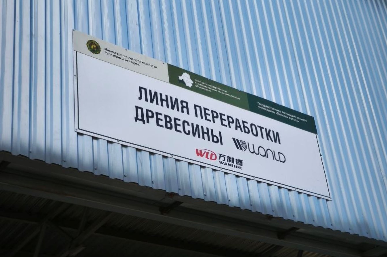 линия переработки древесины: пилотный проект Пинска и КНР